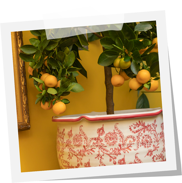 Palvelut, puut ja viherkasvit